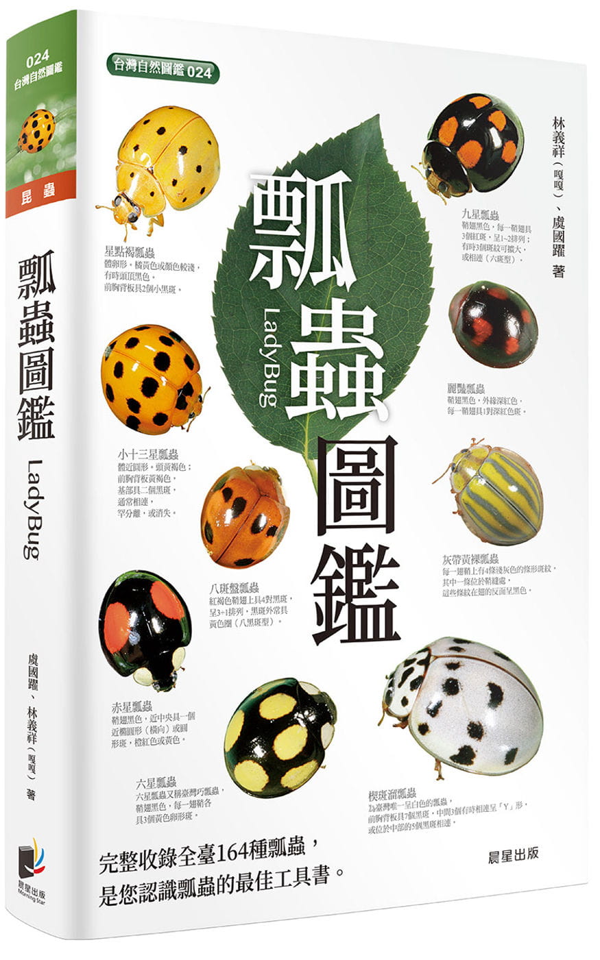预售 林义祥 瓢虫图鉴(二版) 晨星