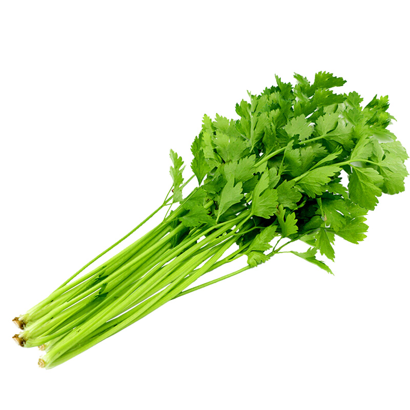 2025年11月21日全国首要批发商业商场芹菜价格行情