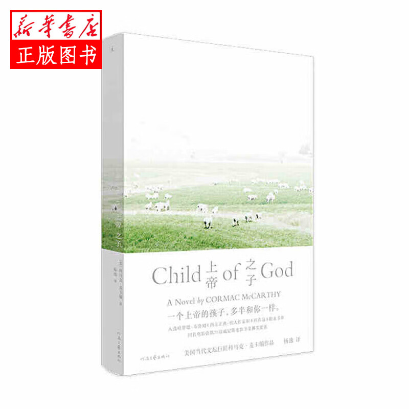 上帝之子  河南文艺出版社 科马克麦卡锡新华书店正版图书