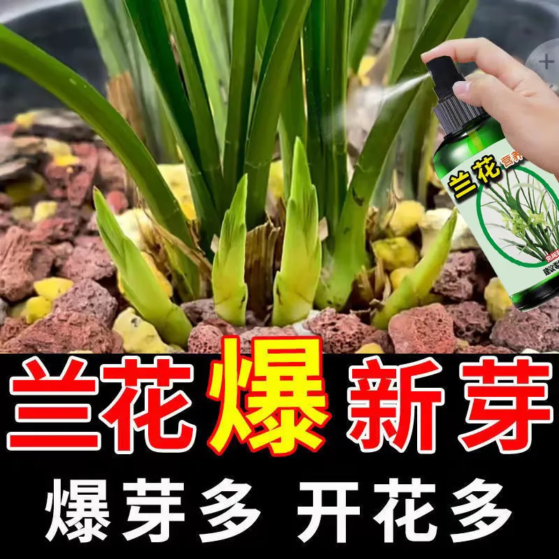 兰花强力爆芽素爆芽王兰花营养液直接喷生根壮根催芽爆芽增肥专用 兰花爆芽营养液 五瓶装 京东折扣/优惠券