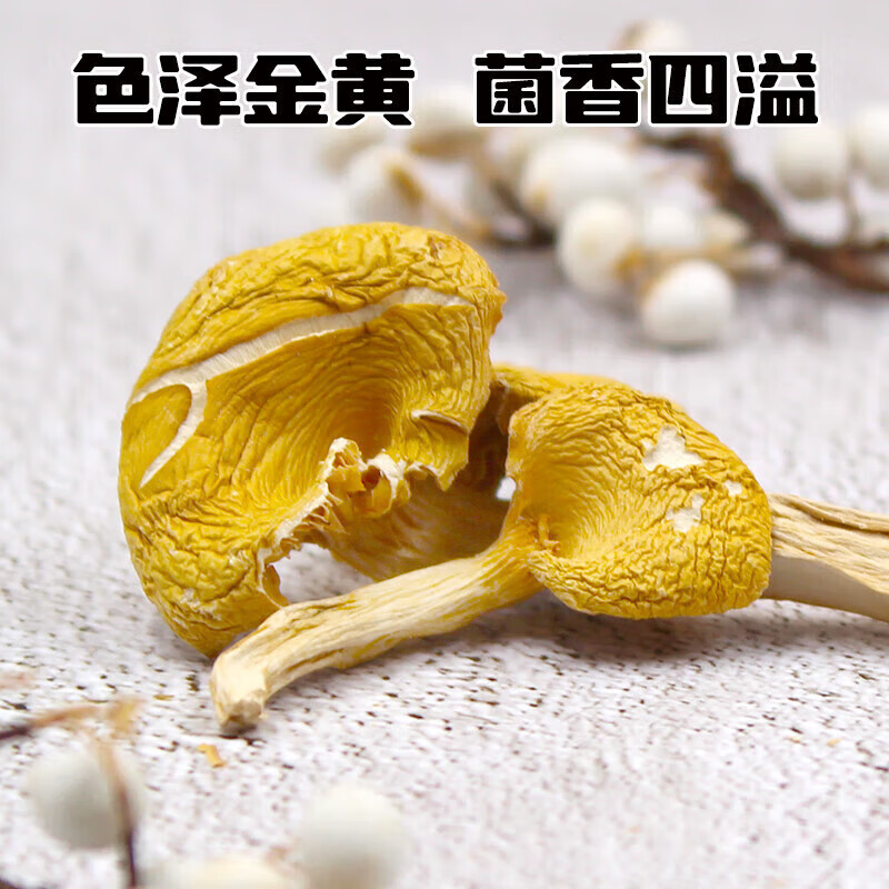 李小谷（LIXIAOGU）榆黃蘑罐裝(山珍南北干貨菌菇蘑菇干煲湯材料香菇滑子菇搭檔） 榆黃蘑60g*1罐