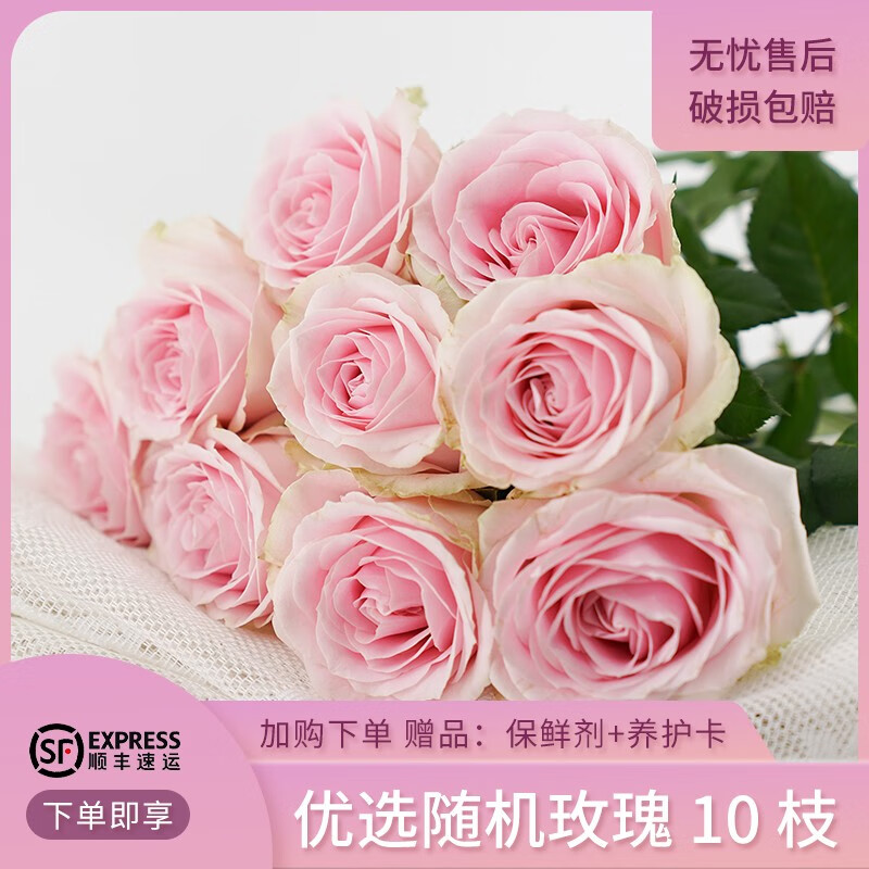 生活鲜花历史价格是多少|生活鲜花价格比较