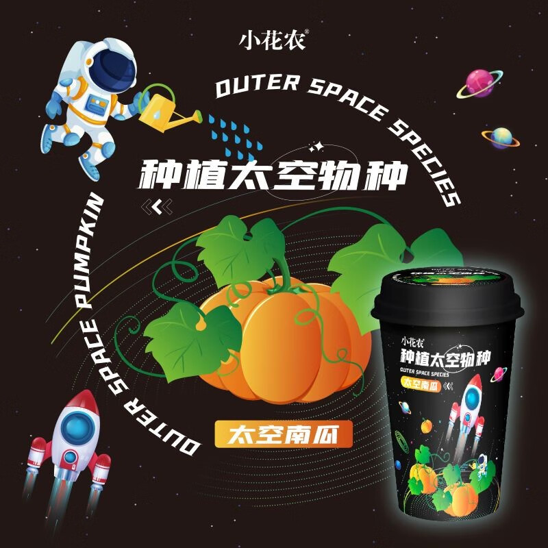 小盆栽幼儿园小学生div绿植观察植物生长牵牛花 潮流种植杯-太空南瓜