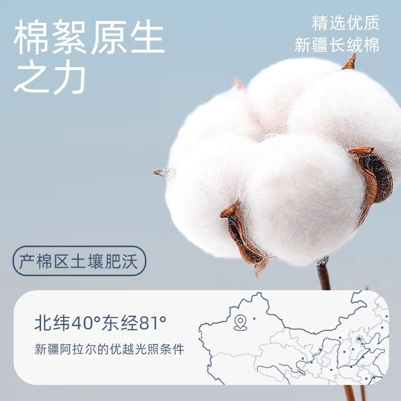 洁丽雅(grace)纯棉毛巾加厚100%全棉柔软吸水不易掉毛成人面巾 6443 家庭四条装