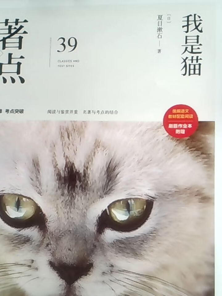 我是猫