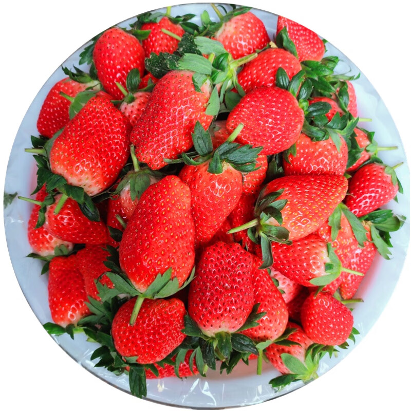 草莓历史价格查询方法|草莓价格走势图