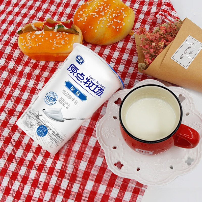 【全运会指定乳品】银桥原点牧场高品酸牛乳 益生菌发酵酸奶 原味风味