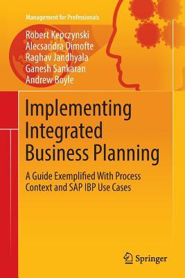implementing integrated business planning: a guide exemplified