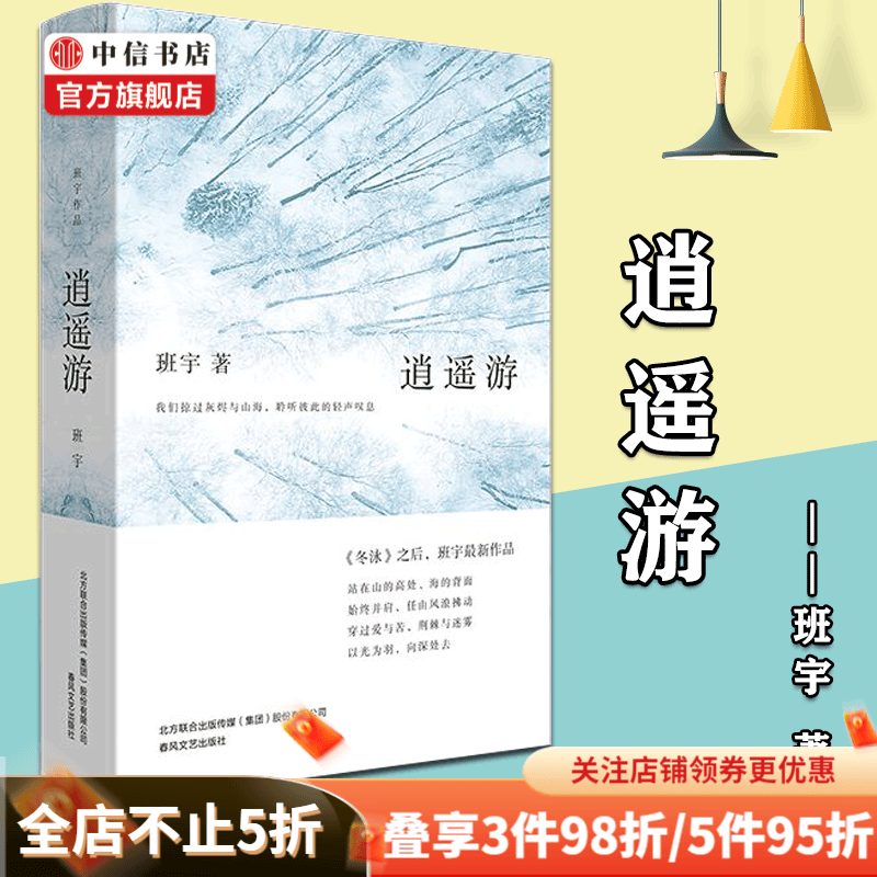 逍遥游 班宇 著 理想国 冬泳作者又一力作 中信书店