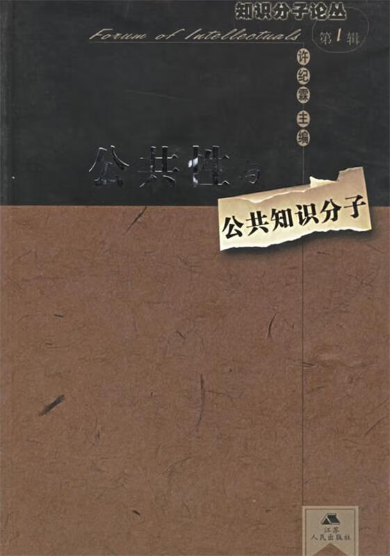 公共性与公共知识分子【正版好书,下单速发】