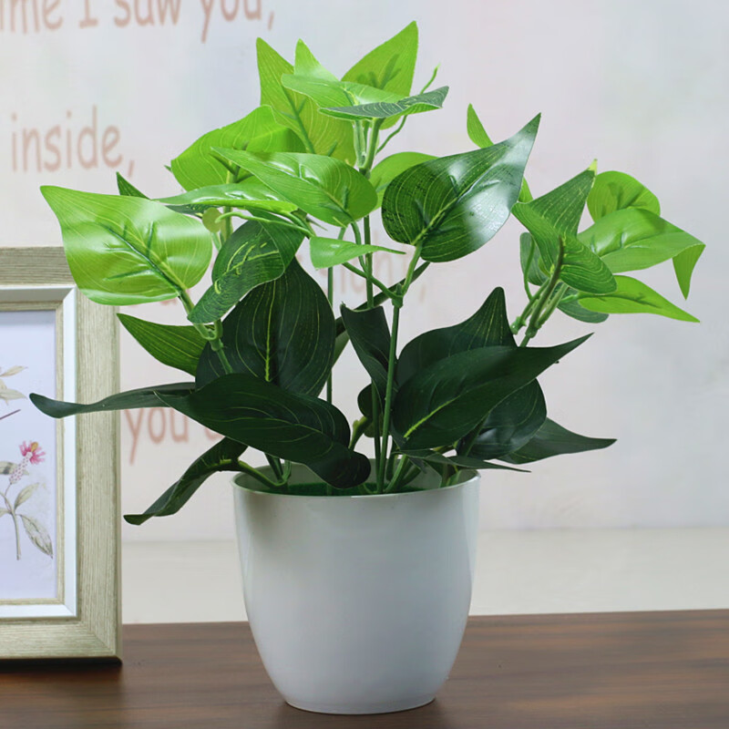 套装塑料花家居室内客厅茶几绿叶阳台装饰品摆件 小绿色绿萝 1号盆