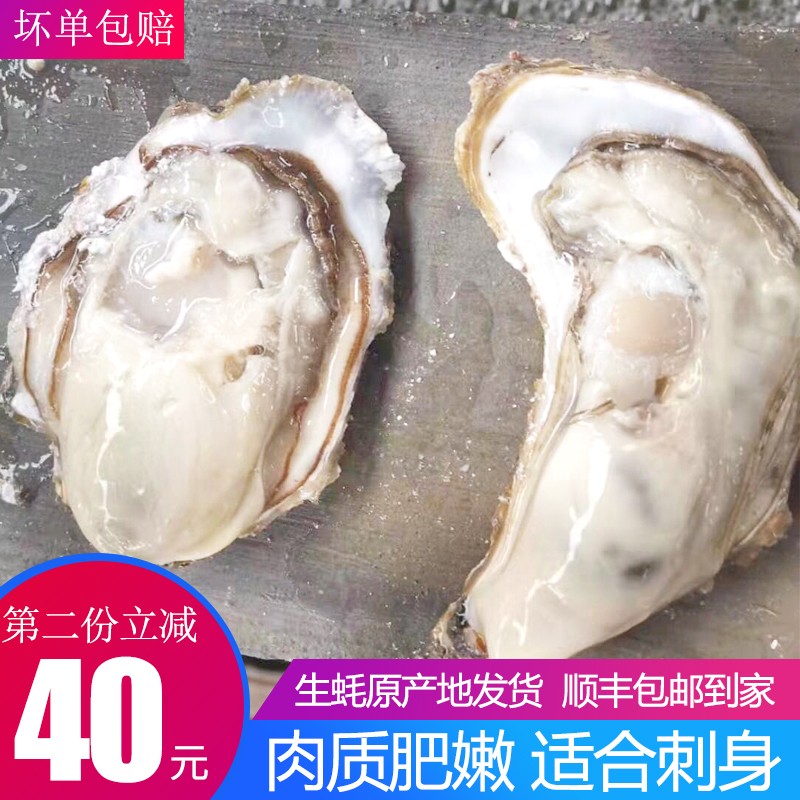 海味先生 生蚝鲜活 海蛎子 2.5kg 袋装 【推荐】5斤生蚝(25-28只)