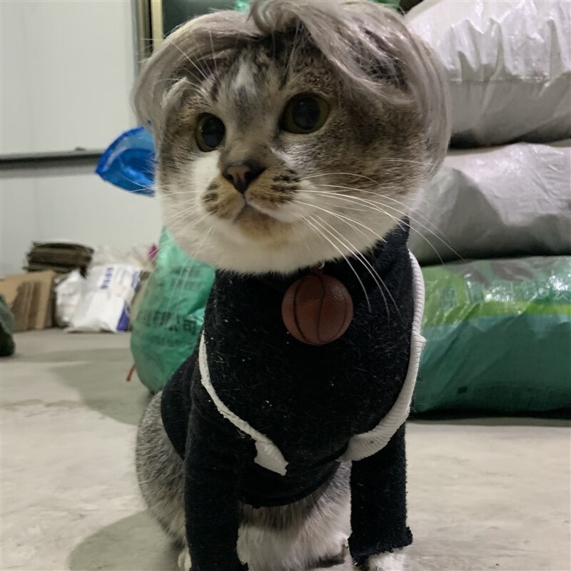 千叶繁梅狸猫头套蔡徐坤背带裤小黑子猫咪假发套中分宠物假发梅狸猫