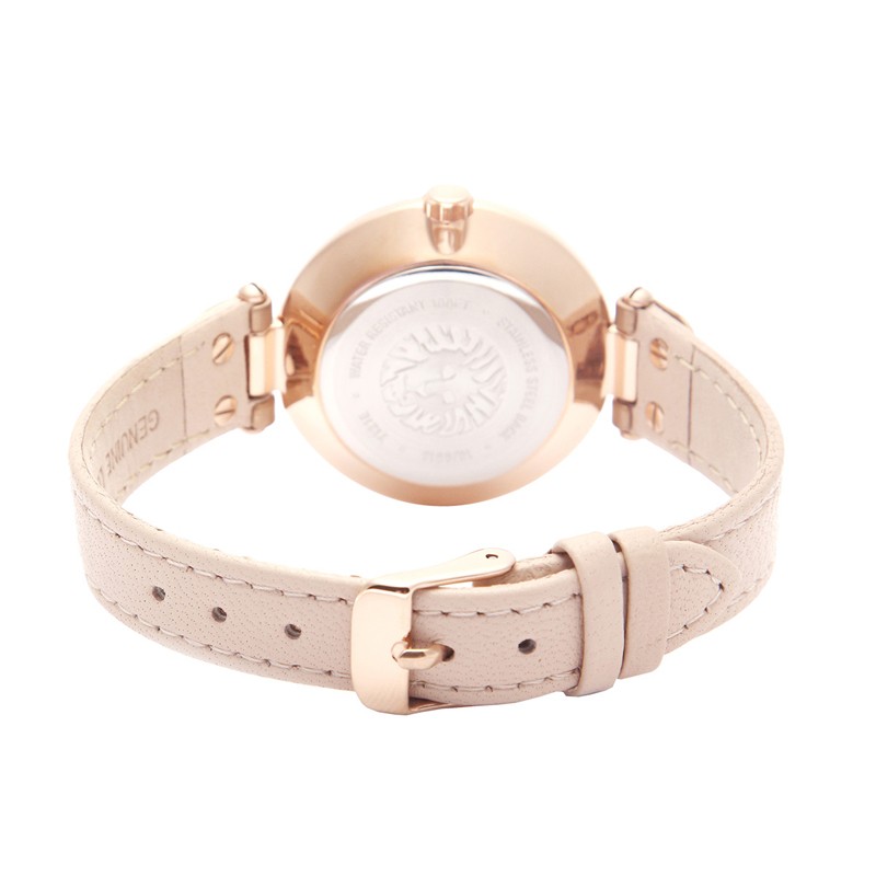 安妮克莱因ANNE KLEIN欧美表AK女士手表复古时尚罗马数字贝母盘面石英腕表 贝母表盘10-9918RGLP