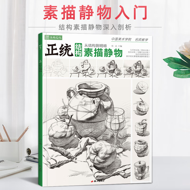 正统结构素描静物 蔡兼2021零基础到位