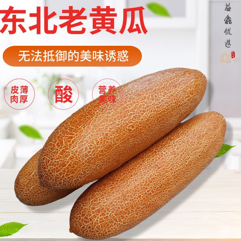 鹿凌青老黄瓜东北特产农家新鲜蔬菜炖汤凉菜酸黄瓜麻皮老黄瓜批发