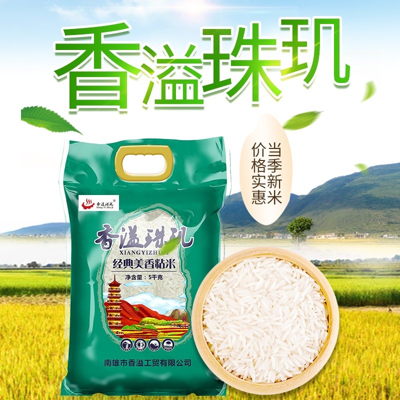 香溢珠玑 油粘米丝苗米5kg袋装 南雄生态稻田大米黏米 5kg