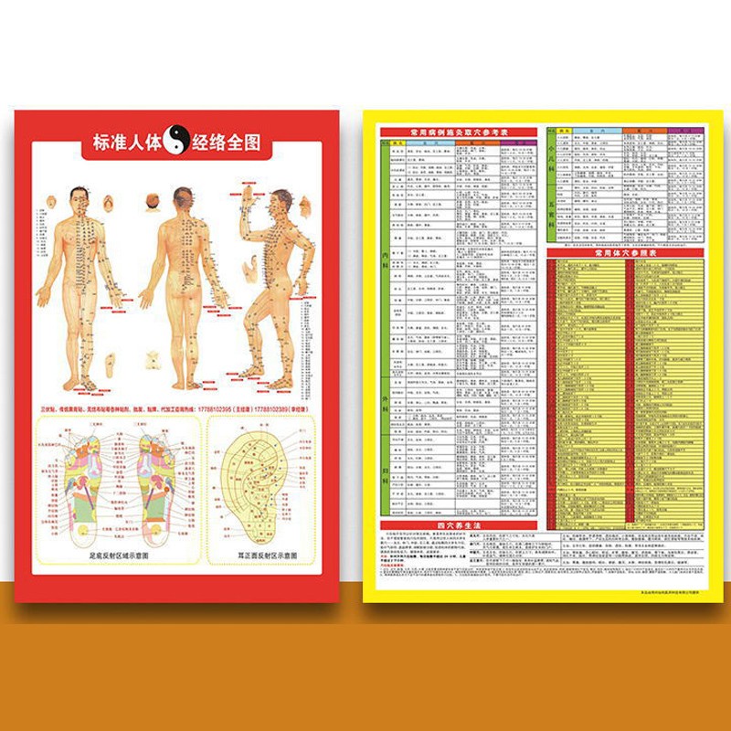 标准人体经络全图 中医养生针艾灸穴位图挂图图解全身家用