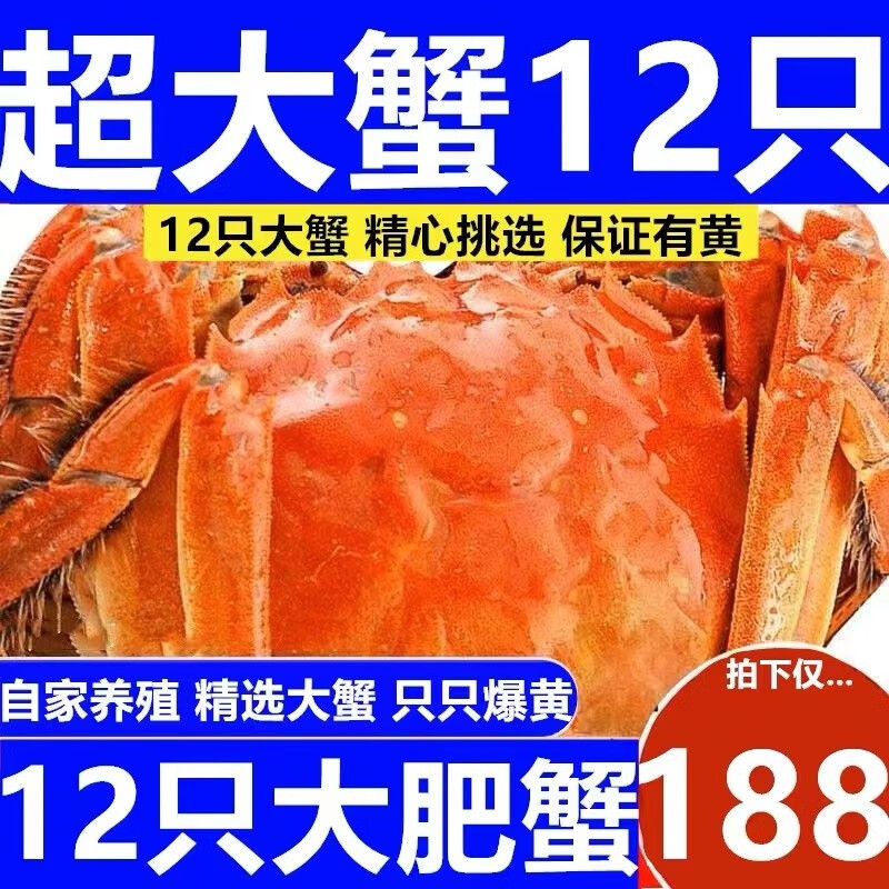 【活蟹】大闸蟹现货六月黄鲜活螃蟹12只公母随机2.5两一3.0两