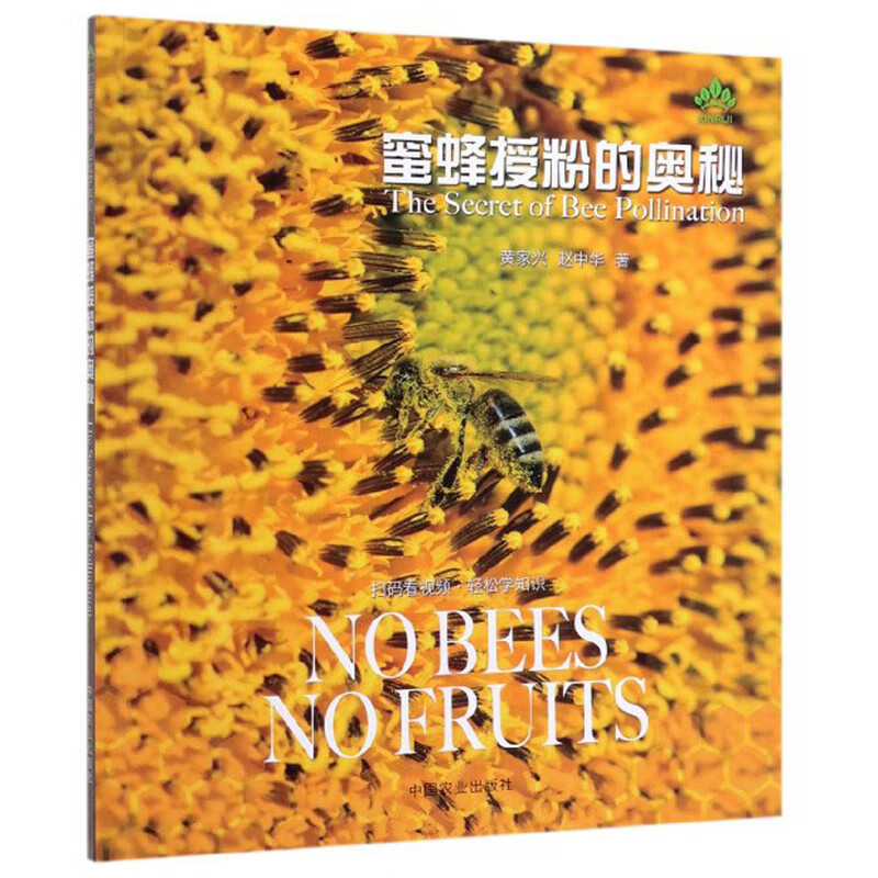 蜜蜂授粉的奥秘