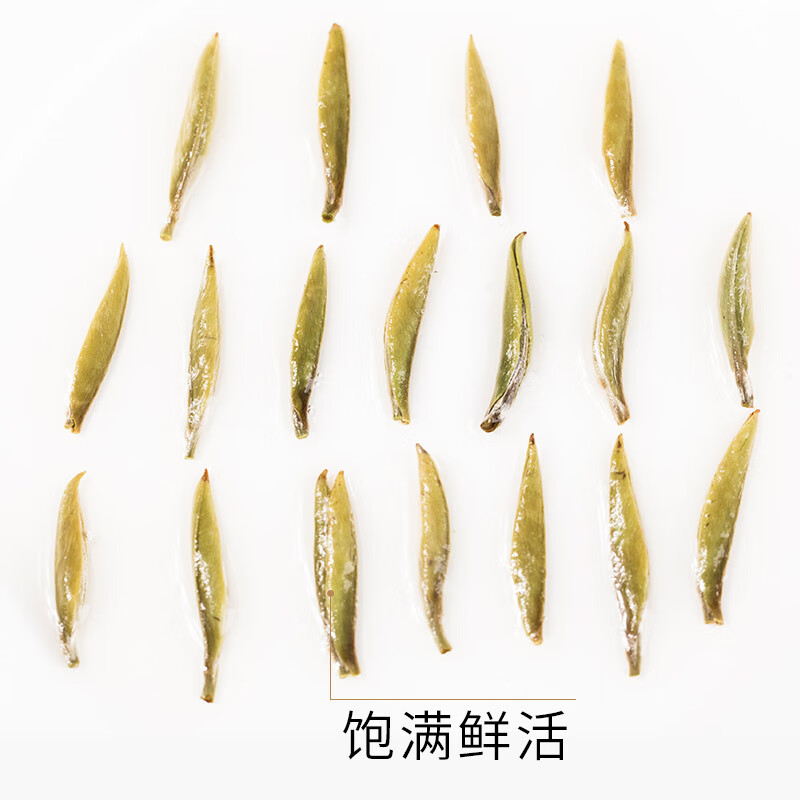 皇茅福建白毫银针政和特产荒野老树白茶茶叶礼盒装500克