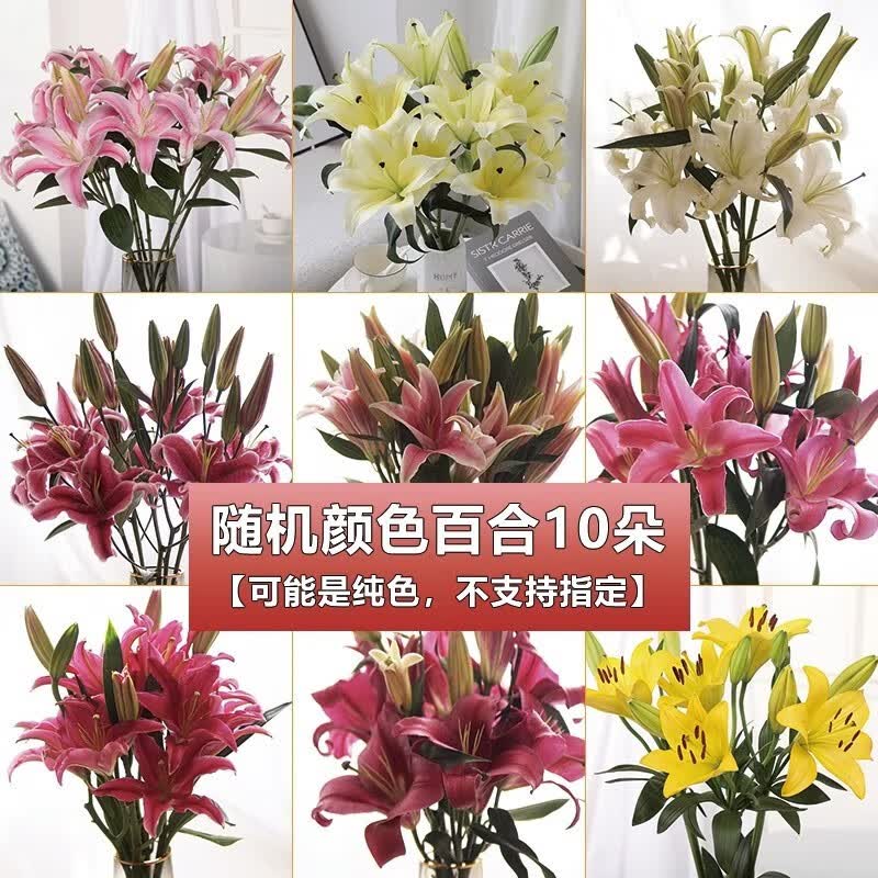 随机百合(8朵送2朵防损耗) 不含花瓶
