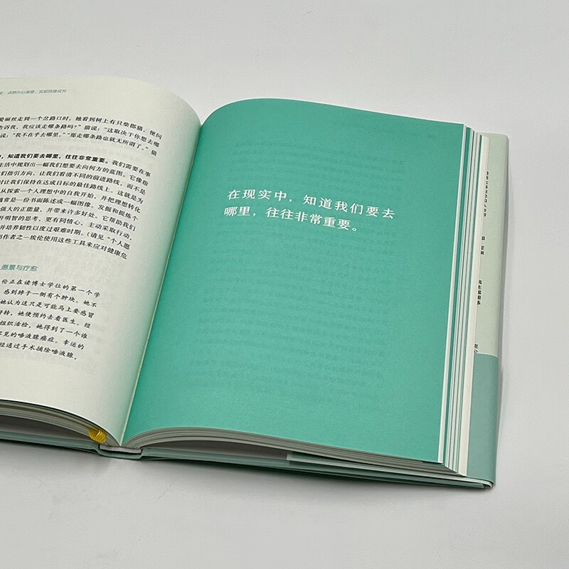 激发改变：点燃内心渴望，实现终身成长详情图