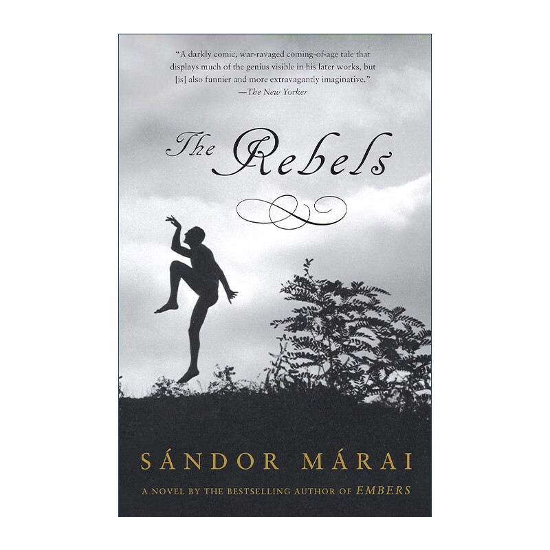 进口原版 the rebels vintage international 反叛者 烛烬作者sandor