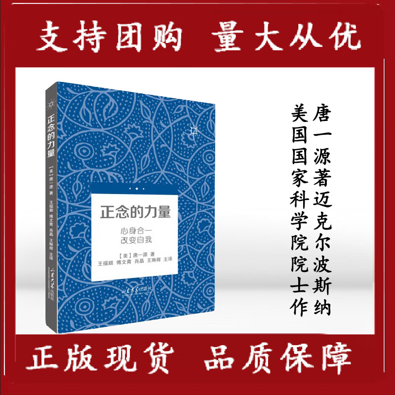正念的力量:心身合一 改变自我 心理学心理健康 唐一源著迈克尔i