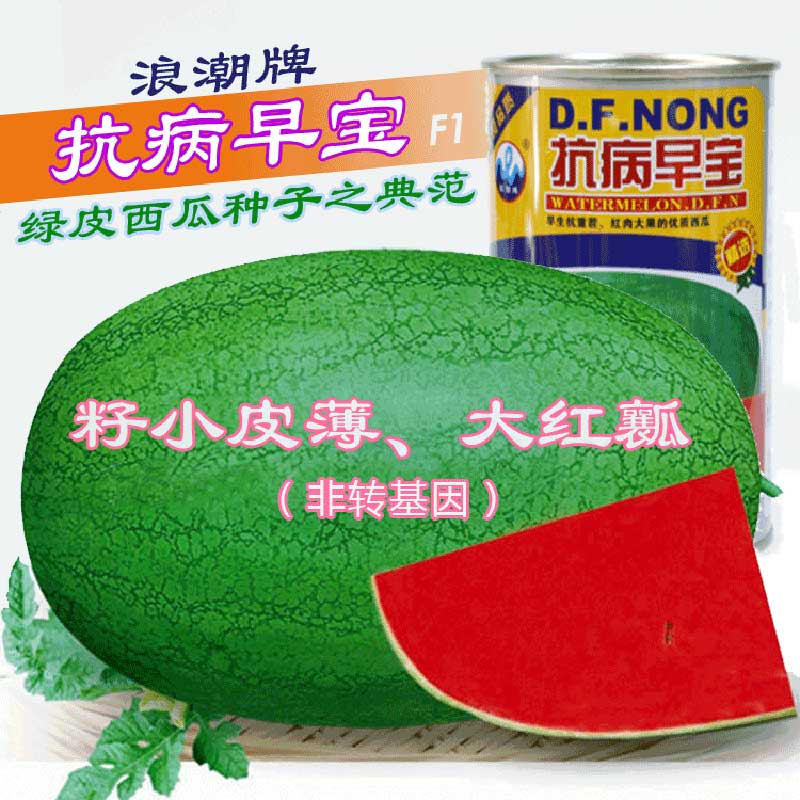 特大新红宝西瓜种子绿皮西瓜种抗病早宝早熟红心甜 抗病早宝100粒试种