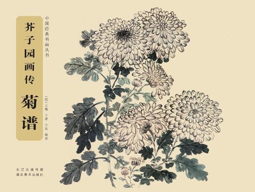 芥子园画传 菊谱