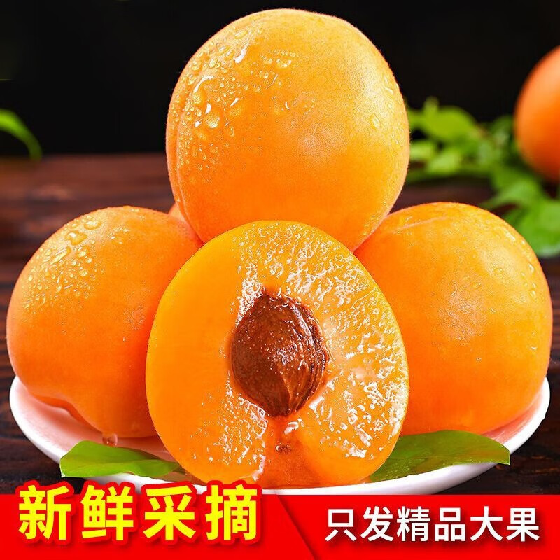 京东新品首发 2023-06-15 - 第25张  | 最新购物优惠券