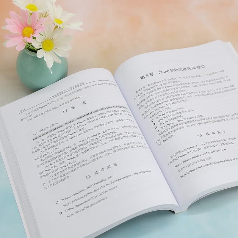 Python高效编程——基于Rust语言