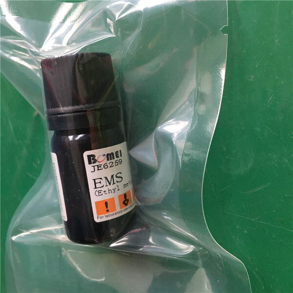甲磺酸乙酯/甲基磺酸乙酯 ems98%1g 5g 25g科研实验62-50-0 ruibio