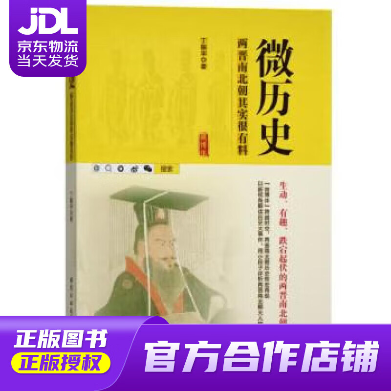 【正版图书 京东配送】微历史—西晋南北朝其实很有料 丁振宇 北京工业大学出版社