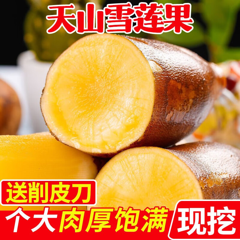 果迎鲜雪莲果 5斤 云南特产天山雪莲果 天山红泥沙雪莲果