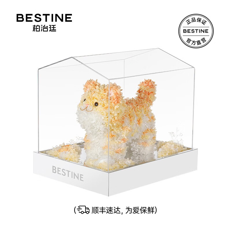 柏治廷bestine永生花可爱橘猫永生花礼盒七夕送女友闺蜜生日情人节