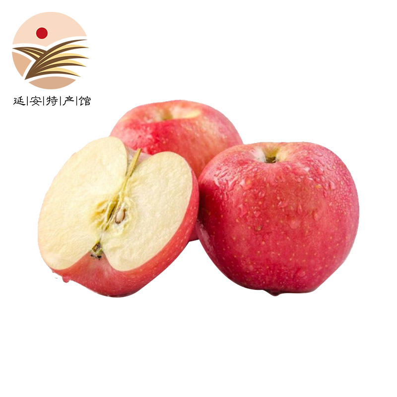 【果哒哒】陕西延安红富士新鲜苹果水果24枚礼盒装80－85mm   洛川红富士