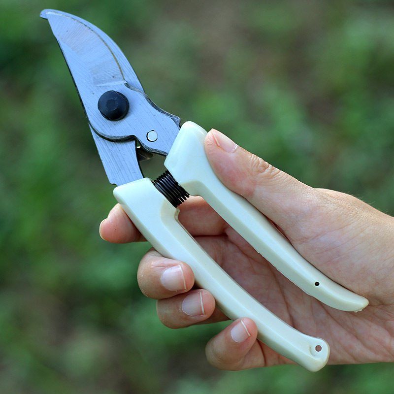 园艺剪刀修枝剪摘果花剪树枝剪刀园林剪刀家用枝剪刀粗枝果树剪刀 白