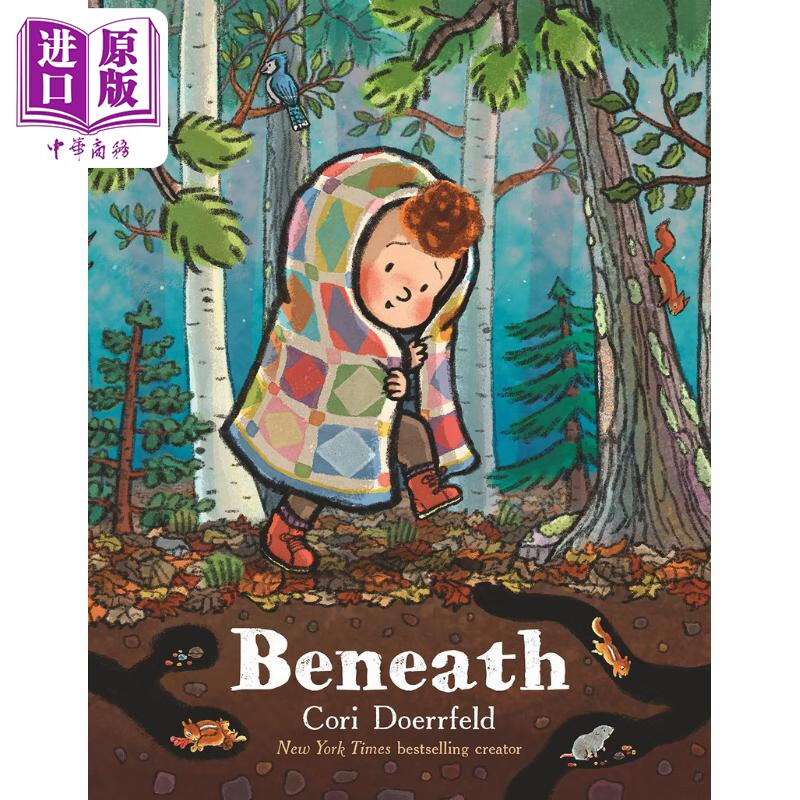 cori doerrfeld:beneath 表面之下 英文原版进口图书 儿童绘本故事