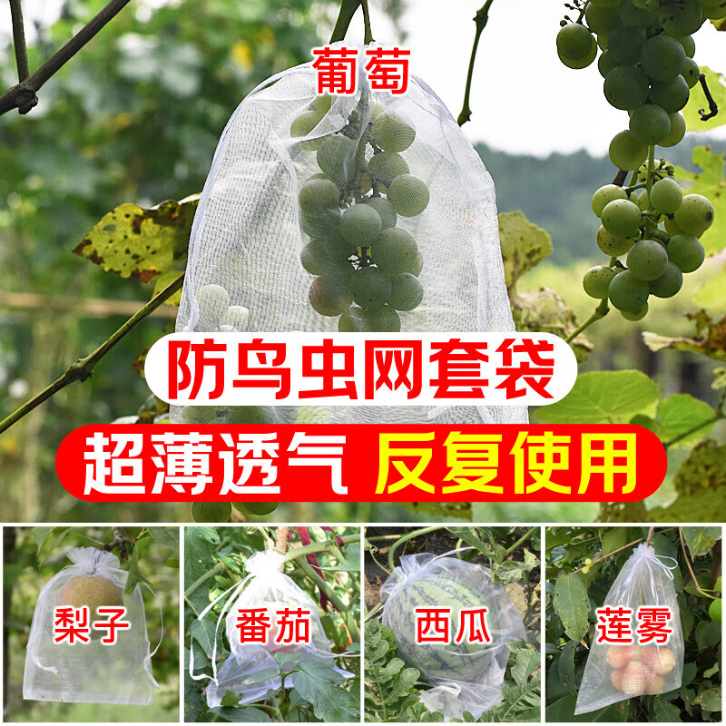YUANYIBA水果套袋防乌防虫专用网袋草莓无花果蓝莓李子猕猴桃百香果保护袋