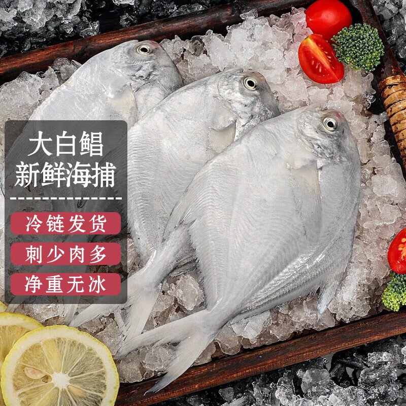 源外园 新鲜东海冷冻特大白鲳鱼 银鲳鱼 鲳鳊鱼 平鱼新鲜海鲜 200-300g每条（4条）