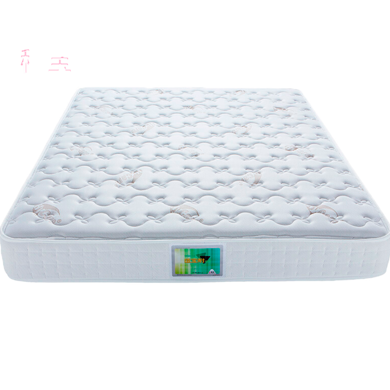 抢购必备！价格变化异常！这款商品的长尾标题