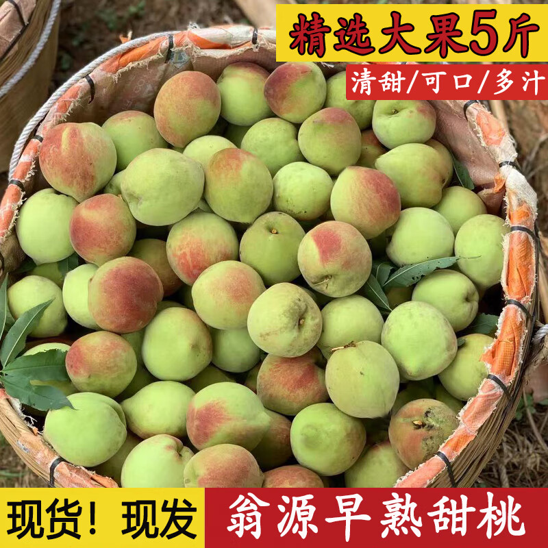 【现摘】正宗翁源早熟甜桃大果新鲜孕妇水果应季早熟甜脆桃子5斤 3斤