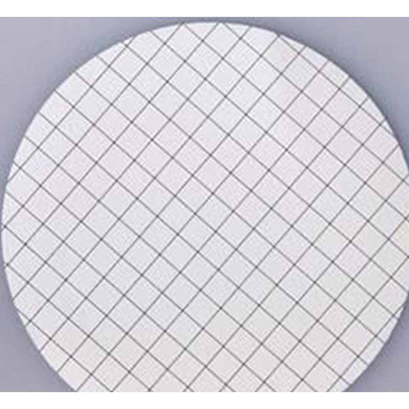 微孔滤膜 格栅膜 格子膜 50mm 100张2f盒 50mm*0.22um