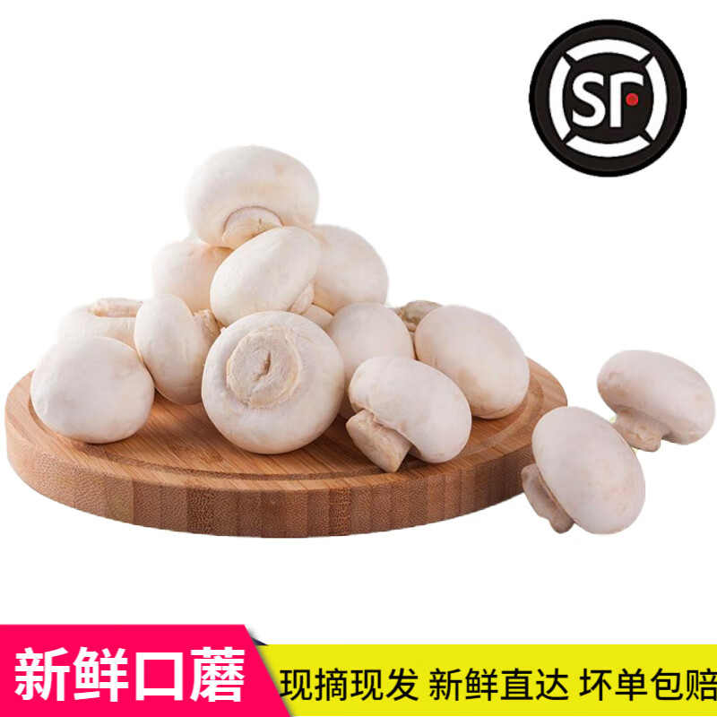 旷古农业蘑菇1斤新鲜 食用菌口蘑鲜白蘑菇 口菇 健康轻食 500g 新鲜蘑菇