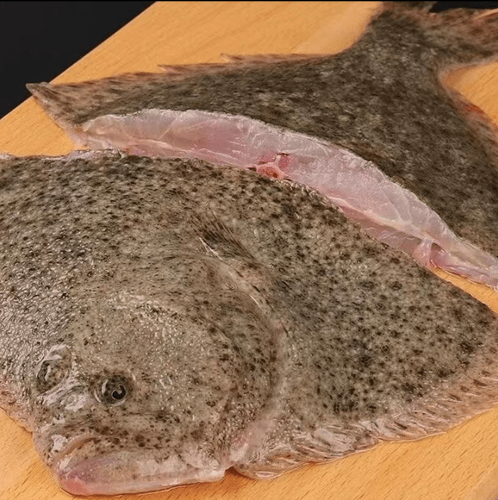 果亦橙 新鲜海捕多宝鱼新鲜冷冻海鲜水产鲜活比目鱼 2条装