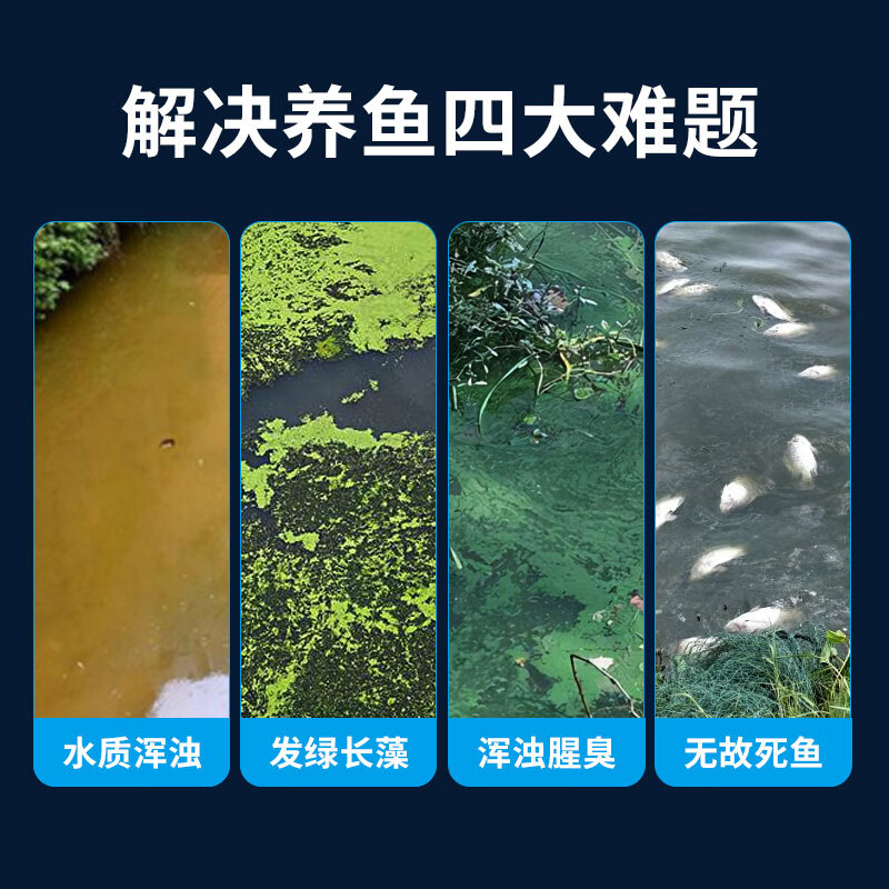 新势力鱼池过滤器户外不锈钢鱼缸过滤箱室外池塘外置水循环系统净水器 S1000套餐(适用80立方以内水体)