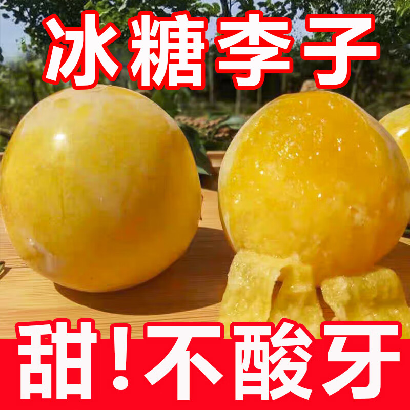 财莱乐蜂糖李子果桃花冰糖李子四川新鲜水果蜂蜜李子黄金奈李软大果 3