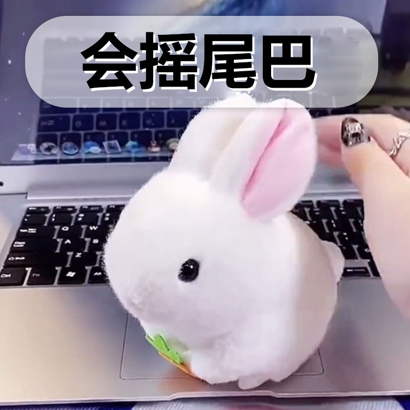 的小兔子仿真会动毛绒玩具玩偶发条拉绳公仔圣诞礼物 通用玩偶种类